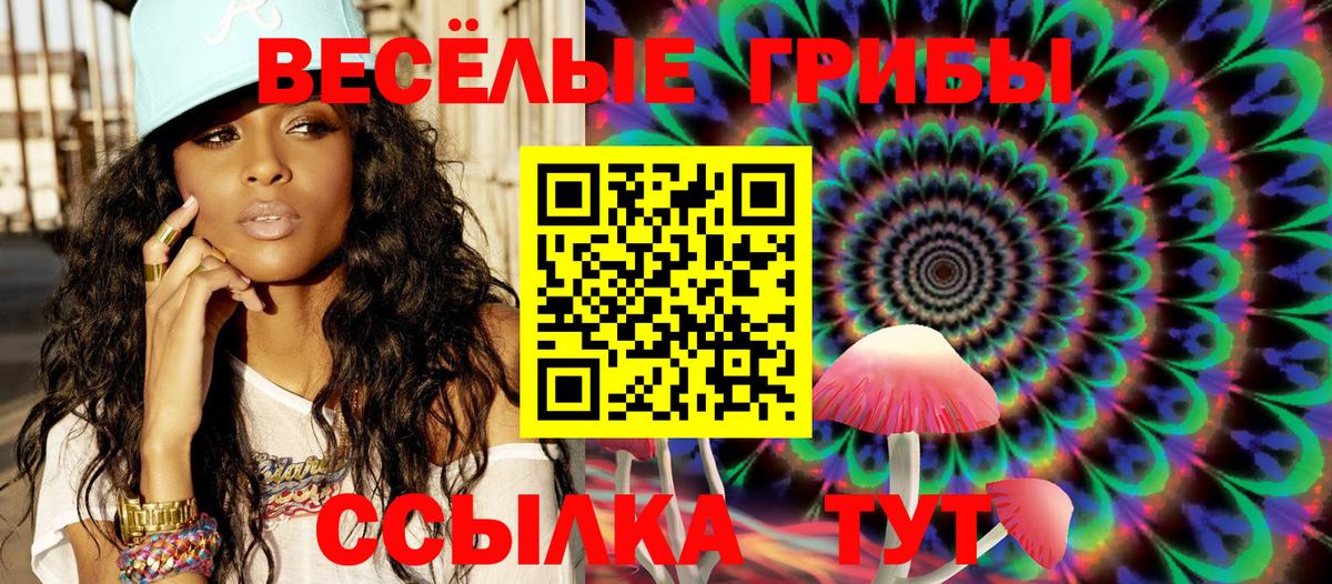 Галлюциногенные грибы прущие грибы  Вход с VPN  Ефремов 